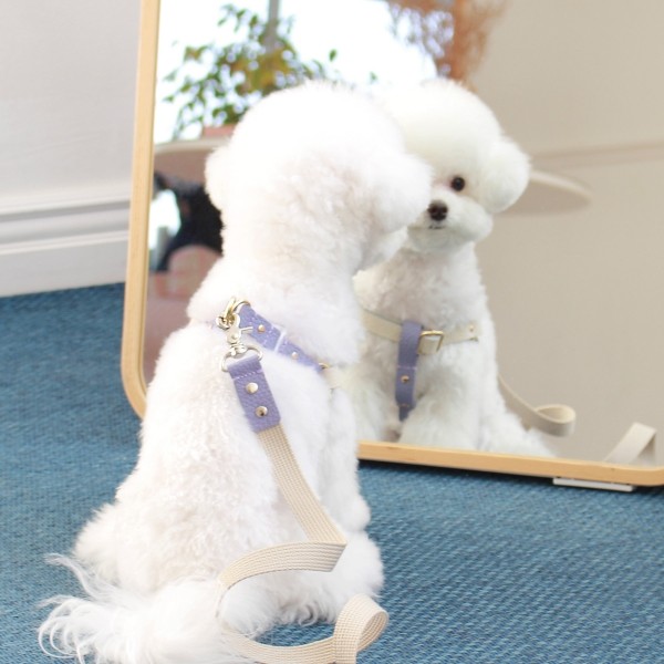 페오펫몰,[댕보양특가] 러닝 메이트 하네스 (가슴줄) 화이트/바이올렛