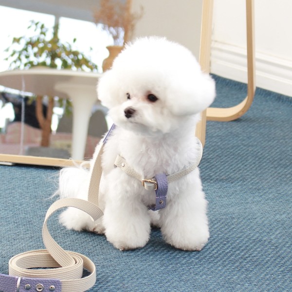 페오펫몰,[댕보양특가] 러닝 메이트 하네스 (가슴줄) 화이트/바이올렛