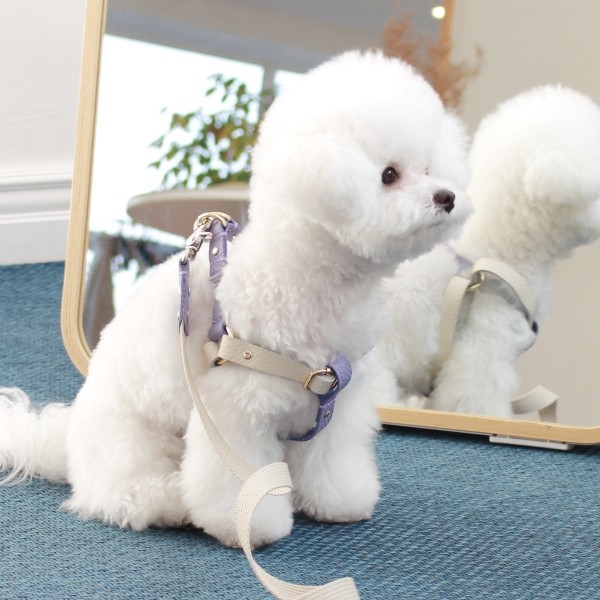 페오펫몰,[댕보양특가] 러닝 메이트 하네스 (가슴줄) 화이트/바이올렛