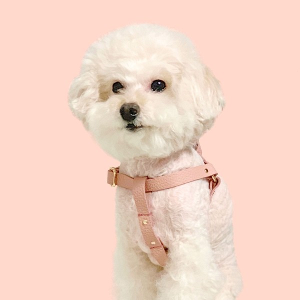 페오펫몰,[댕보양특가] 러닝 메이트 하네스 (가슴줄) 로즈 핑크