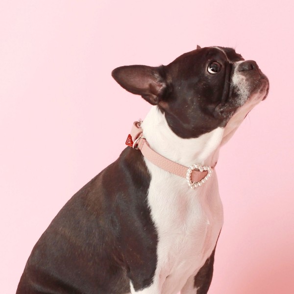 페오펫몰,[댕보양특가] 하트 진주 목줄 로즈 핑크