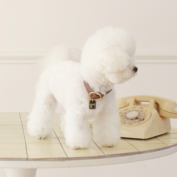 페오펫몰,[댕보양특가] 하트 펜던트 목줄 브라운