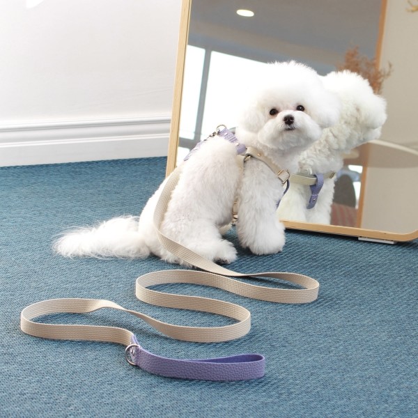 [댕보양특가] 러닝 메이트 레더&웨빙 리드줄 바이올렛/아이보리