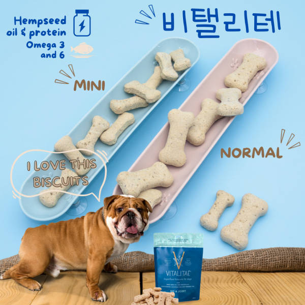 페오펫몰,[여름맞이특가] 넘어지지 않는 기다란 슬로우 식기 펫스낵보울 다묘 소형견 급체방지