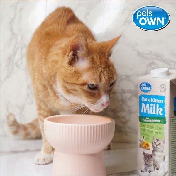페오펫몰,펫츠온 호주 프리미엄 펫밀크 캣앤키튼 글루코사민 고양이 멸균우유 1L/7차신규입고