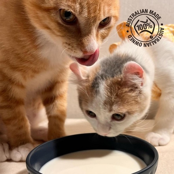 페오펫몰,펫츠온 호주 프리미엄 펫밀크 캣앤키튼 글루코사민 고양이 멸균우유 1L/7차신규입고