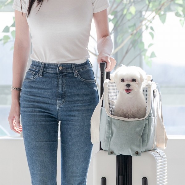 페오펫몰,펫테일 마카롱 강아지 이동가방 고양이 캐리어 이동장 기내용 가방