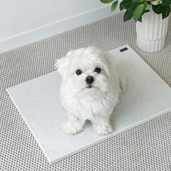 [여름맞이특가]베베페페 강아지 고양이 대리석 쿨매트 엔지니어드스톤