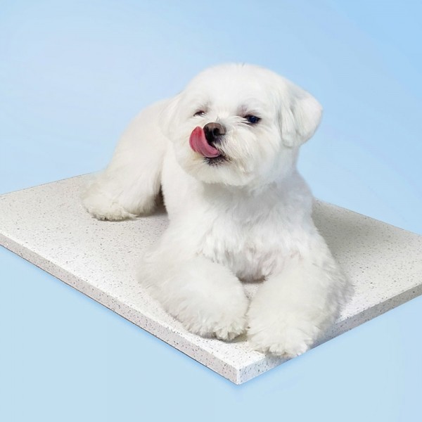 페오펫몰,[여름맞이특가]베베페페 강아지 고양이 대리석 쿨매트 엔지니어드스톤