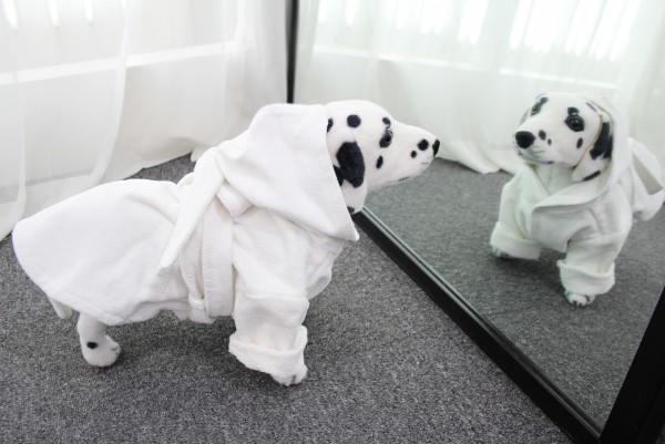 [maum:e] 드라이 타올 샤워가운