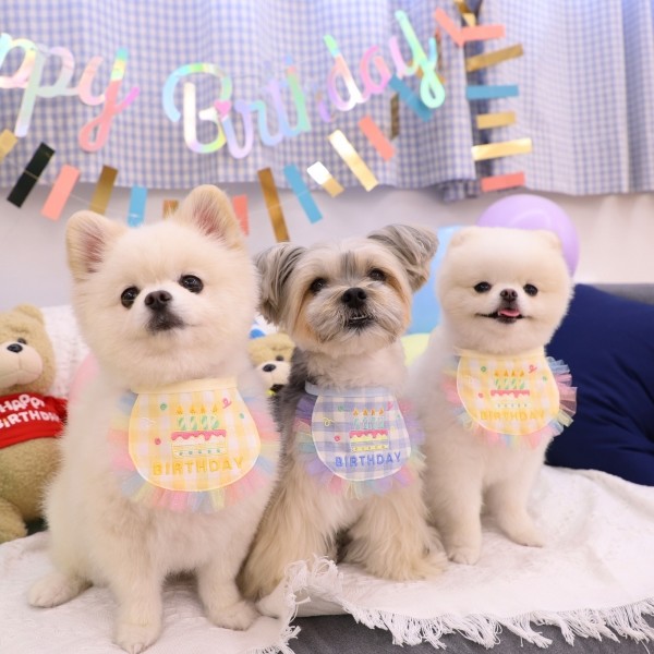 몽앤치크 트윙클 벌스데이 빕(단독)