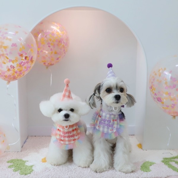 몽앤치크 체리 벌스데이 set(빕+고깔모자)