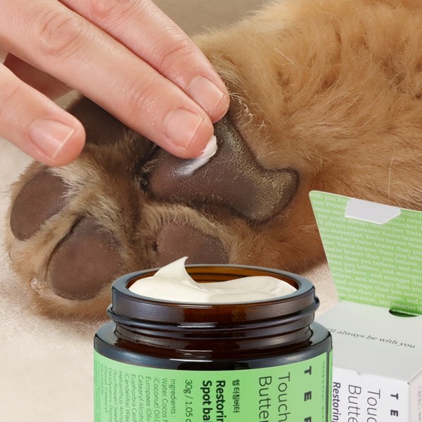 페오펫몰,★[1+1 마지막 이벤트]★ 텝 터칭버터 애견 강아지 반려견 반려동물 펫 가을 겨울 피부 코 발바닥 풋 연고 보습 크림 멀티 밤