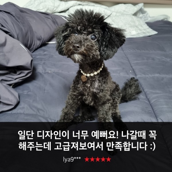 페오펫몰,위드몽뜨 강아지 진주목걸이 인식표 목걸이