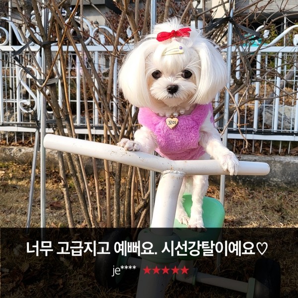 페오펫몰,위드몽뜨 강아지 진주목걸이 인식표 목걸이