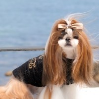 [마망독] 뉴롤리팝 핸드메이드 리본핀 24color