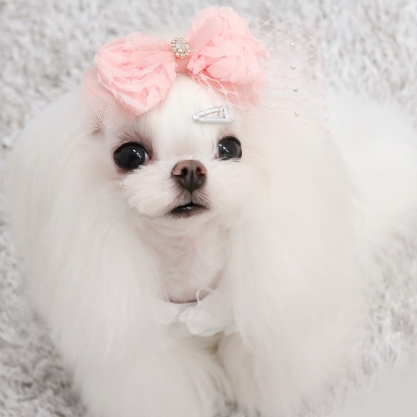 페오펫몰,[마망독] 베이직 핸드메이드 방수똑딱핀 42color