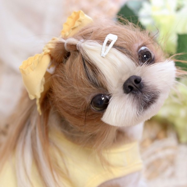 페오펫몰,[마망독] 베이직 핸드메이드 방수똑딱핀 42color