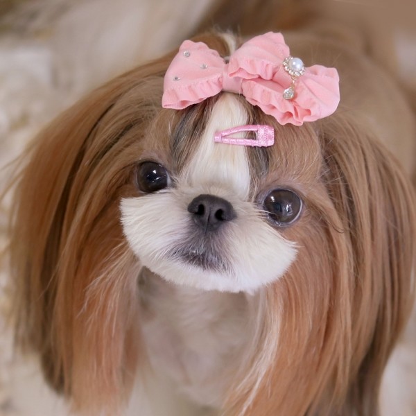 페오펫몰,[마망독] 베이직 핸드메이드 방수똑딱핀 42color