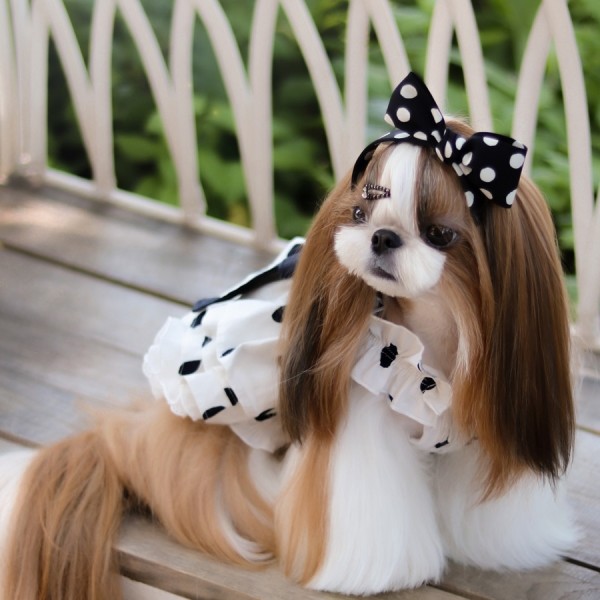 페오펫몰,[마망독] 위드도트 핸드메이드 머리띠 리본핀 2color