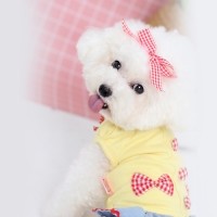 [마망독] 네추럴체크 핸드메이드 리본핀 14color