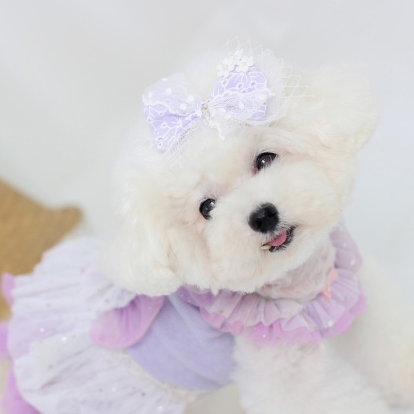 페오펫몰,[마망독] 하모니 핸드메이드 스페셜 리본핀 2color