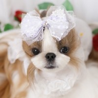 [마망독] 하모니 핸드메이드 스페셜 리본핀 2color