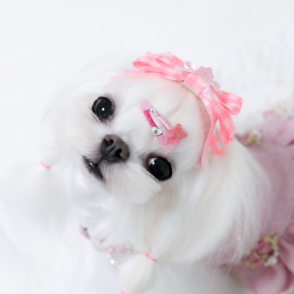 페오펫몰,[마망독] 형광스위티 핸드메이드 리본핀 3color