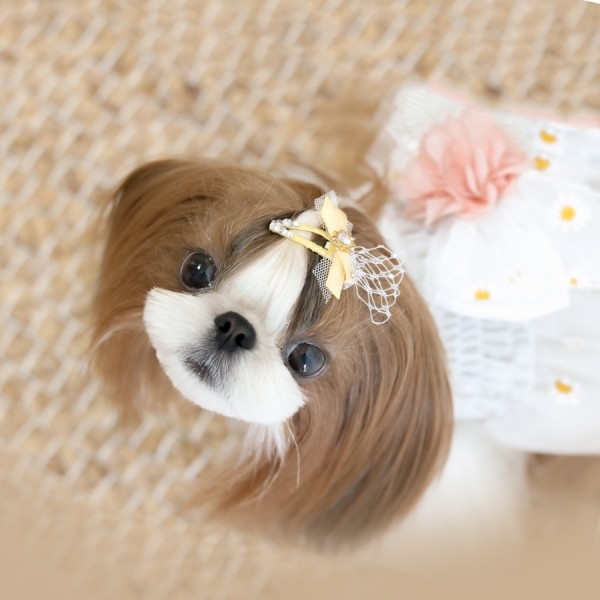 페오펫몰,[마망독] 리리컬 핸드메이드 방수똑딱핀 4color