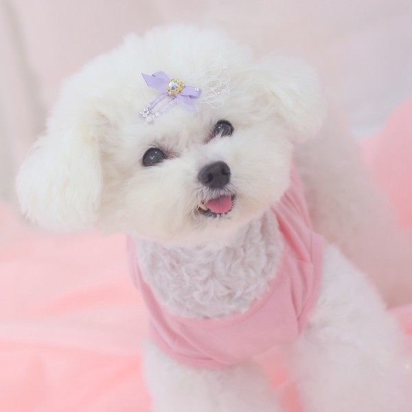 페오펫몰,[마망독] 리리컬 핸드메이드 방수똑딱핀 4color