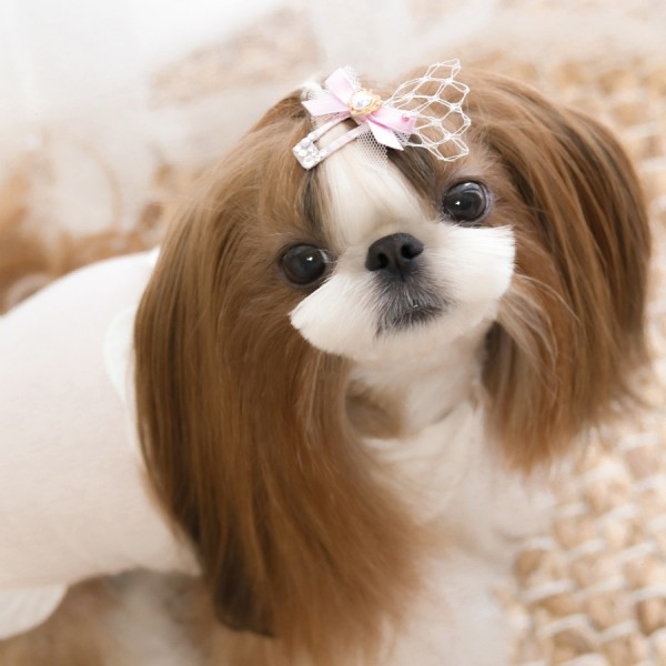 페오펫몰,[마망독] 리리컬 핸드메이드 방수똑딱핀 4color