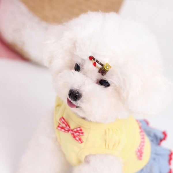 페오펫몰,[마망독] 젤리곰 핸드메이드 방수똑딱핀 6color