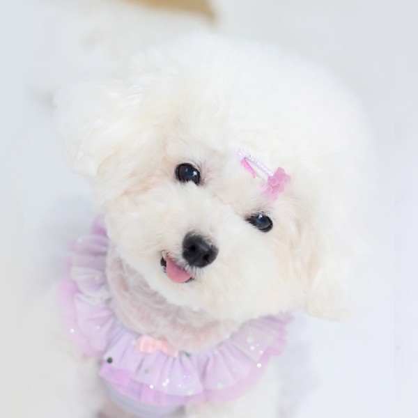 페오펫몰,[마망독] 말랑곰 핸드메이드 방수똑딱핀 6color