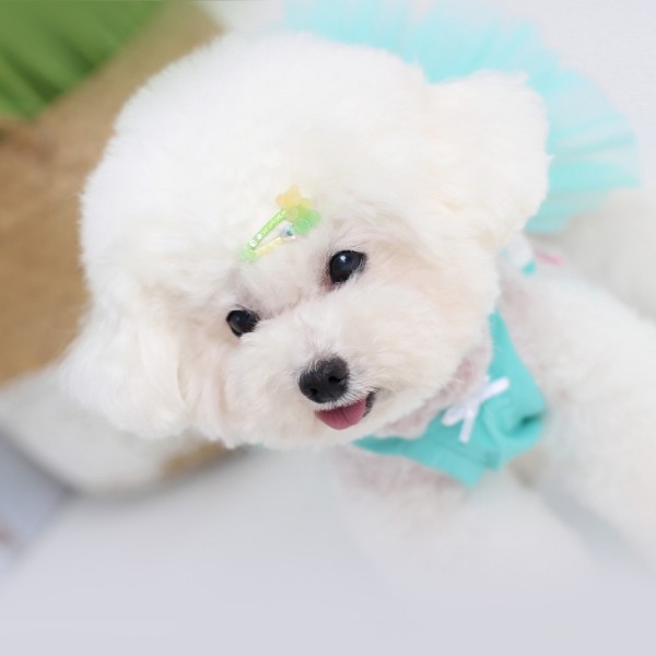 페오펫몰,[마망독] 말랑곰 핸드메이드 방수똑딱핀 6color