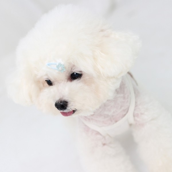 페오펫몰,[마망독] 자스민 핸드메이드 방수똑딱핀 3color