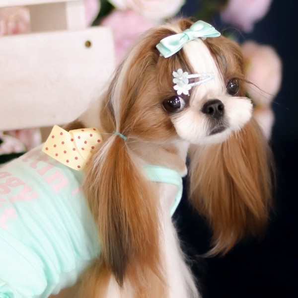 페오펫몰,[마망독] 자스민 핸드메이드 방수똑딱핀 3color