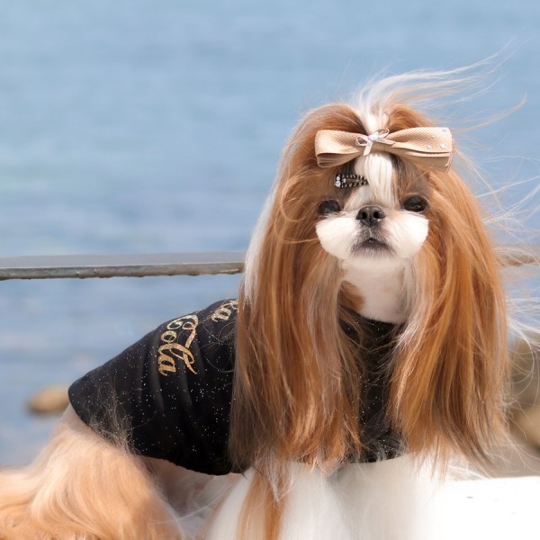 페오펫몰,[마망독] 톡톡 핸드메이드 방수똑딱핀 17color