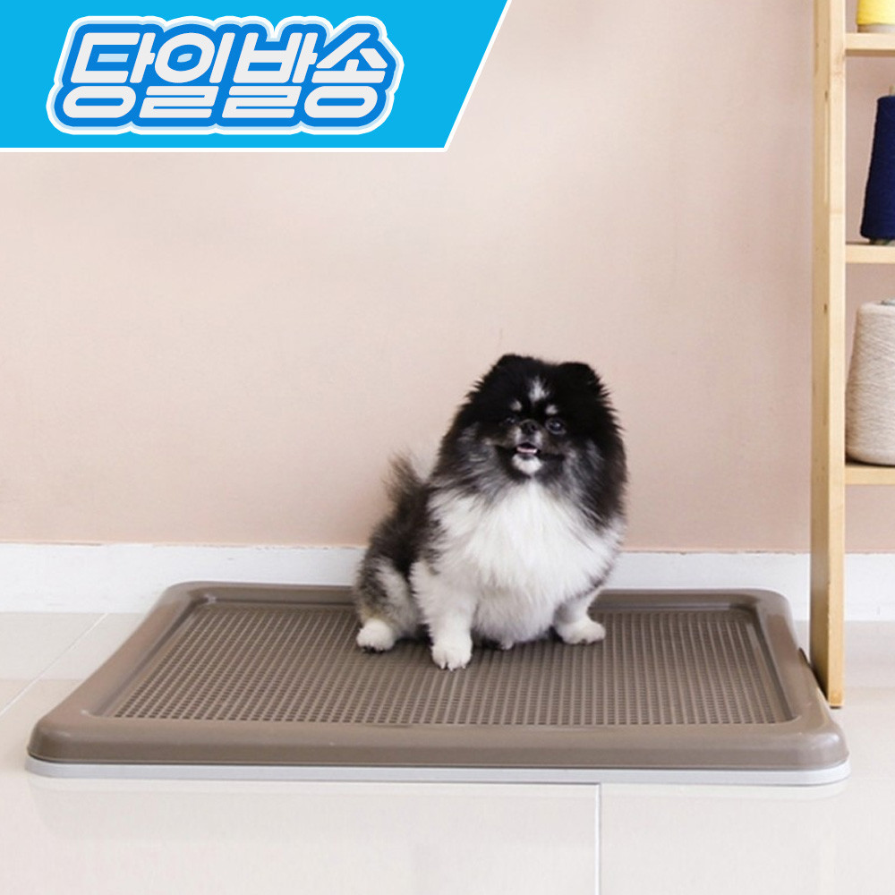 페오펫몰,펫토리아 한판뚝딱 초대형 강아지배변판