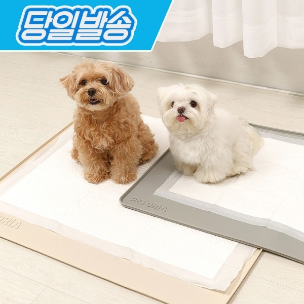 페오펫몰, 펫토리아 안밀려 논슬립 강아지 실리콘 배변매트