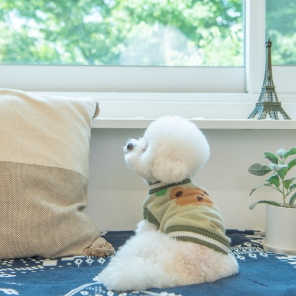 페오펫몰,[봄산책특가]올치 강아지 옷 헬로 베베 니트