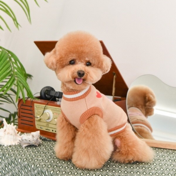 페오펫몰,[봄산책특가]올치 강아지 옷 헬로 베베 니트