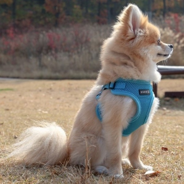 페오펫몰,퍼피아 강아지 산책용 베이직 소프트 하네스 15종 ~2XL