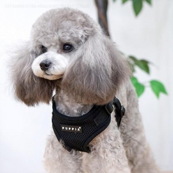 페오펫몰,퍼피아 강아지 산책용 베이직 소프트 하네스 15종 ~2XL