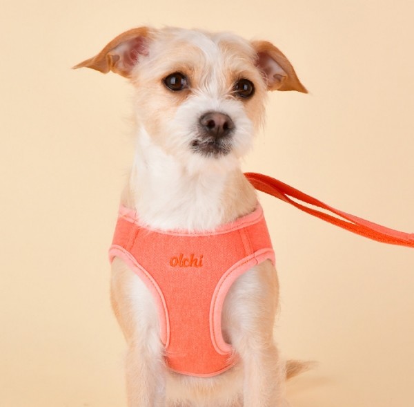 페오펫몰,#초보견주#쉬운길이조정 올치 강아지 산책용 매직 하네스/리드줄