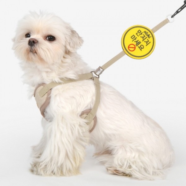 페오펫몰,올치 강아지 산책용품 산책패치 산책와펜(OAWD-PA6520)