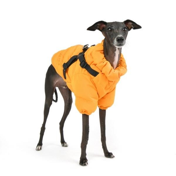 페오펫몰,[설날특가]퍼피아 소프트 하네스 점퍼(JM1676)