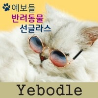 [여름맞이특가] 예보들 강아지 고양이 악세사리 고양이안경 강아지안경 고글 패션용품