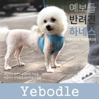 예보들 큰강아지 하네스 말티즈 닥스훈트 웰시코기하네스
