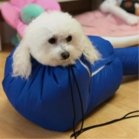 [예보들][꽃길특가] 예보들 펫 드라이룸 강아지룸 반려동물 건조기 고양이펫드라이룸 대형견드라이룸