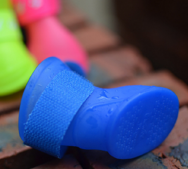 페오펫몰,[예보들][꽃길특가] 예보들 안벗겨지는 강아지 라텍스 레인부츠 장화 산책슈즈